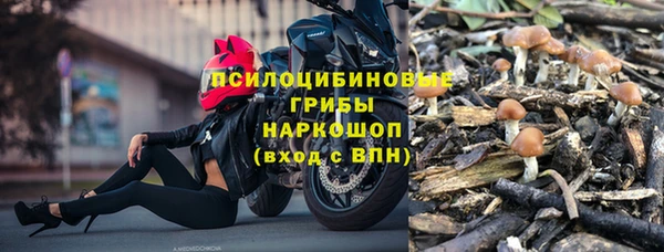 Альфа ПВП Лагань