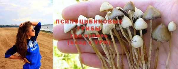меф Ладушкин