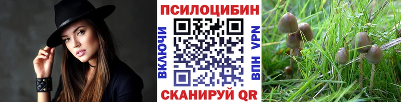 mega зеркало  что такое   Чита  Псилоцибиновые грибы мухоморы 